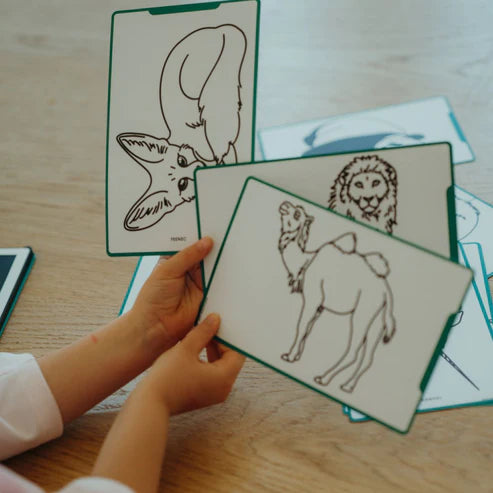 Kidywolf navulling Kidydraw-Mini Dieren over de hele wereld - verpakking