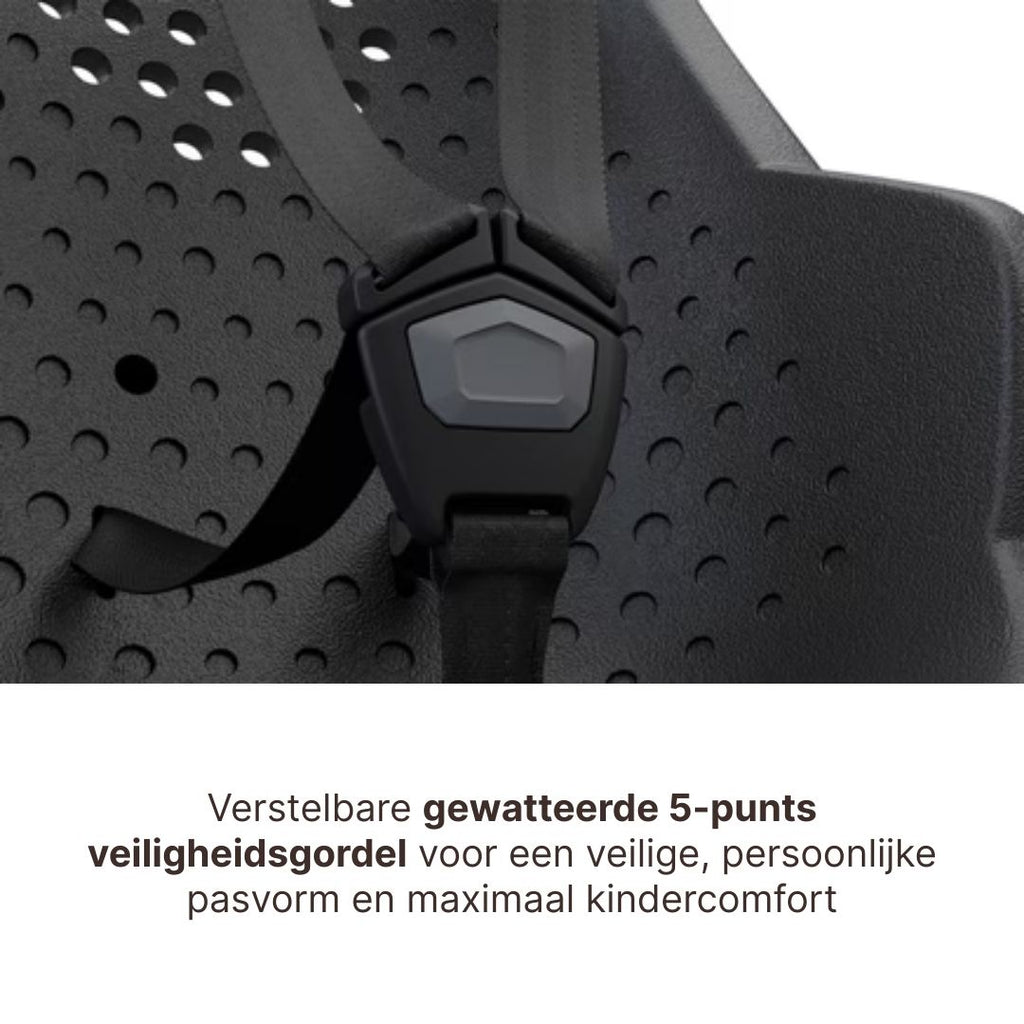 * Thule Yepp 2 Maxi Fietsstoel Achterop Bagagedrager Montage I Fennel Tan