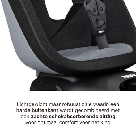Thule Yepp Nexxt 2 Maxi Fietszitje Fietsstoel Achterop Bagagedrager Montage I Monument Grey