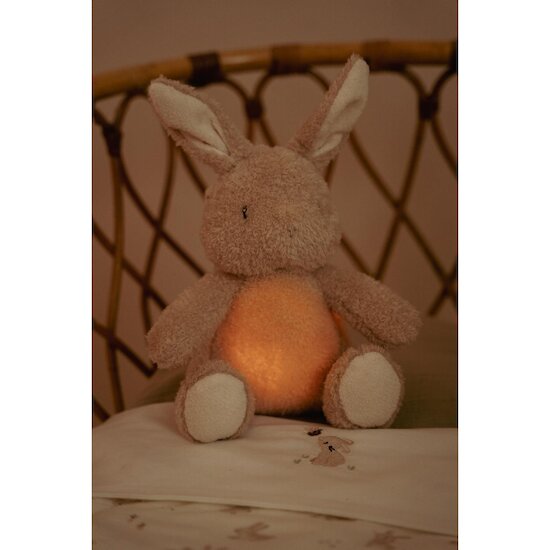 * Little Dutch Knuffelkonijn Licht & Geluid