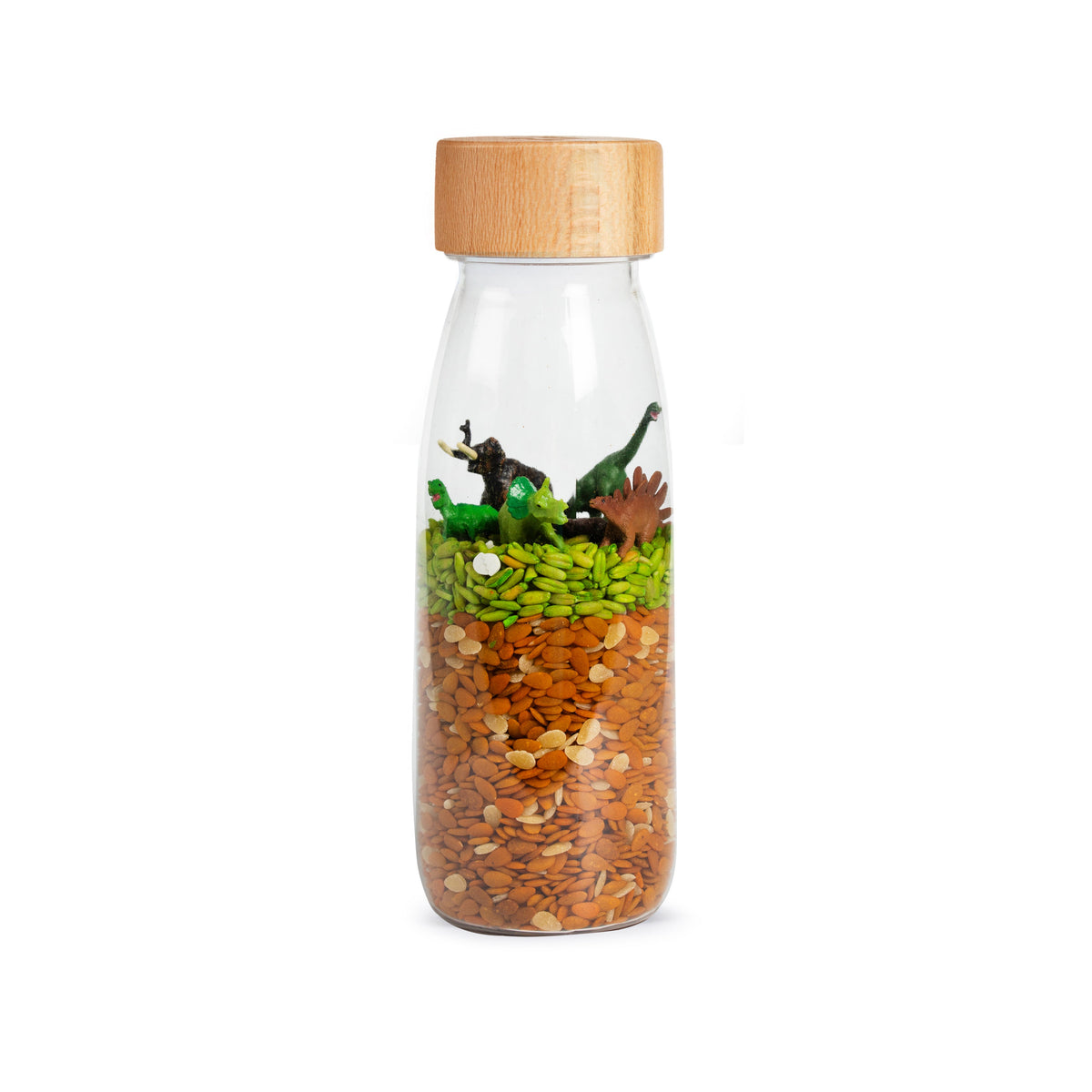 Petit Boum Sensorische Fles | Jurrasic