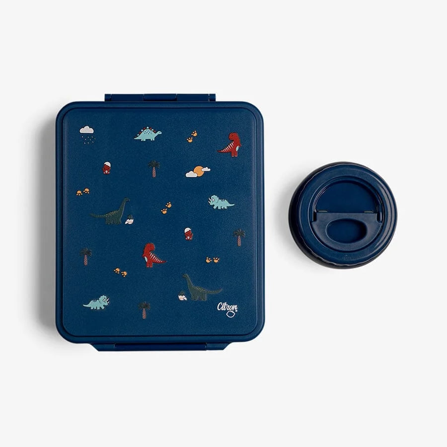 Citron Grand brooddoos in Blue Dino met vier compartimenten bij De Gele Flamingo