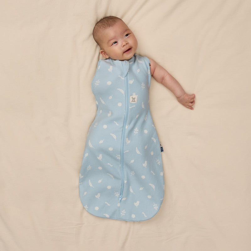 Ergopouch Cocoon Inbaker Slaapzak Ducks 3-6M met aansluitende pasvorm, De Gele Flamingo.