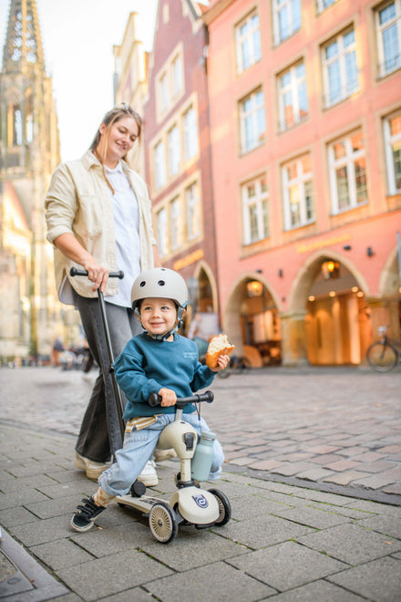 Scoot & Ride Highwaykick 1 Push & Go | Ash