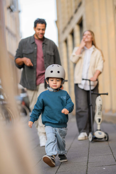 Scoot & Ride Highwaykick 1 Push & Go | Ash