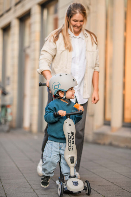 Scoot & Ride Highwaykick 1 Push & Go | Ash