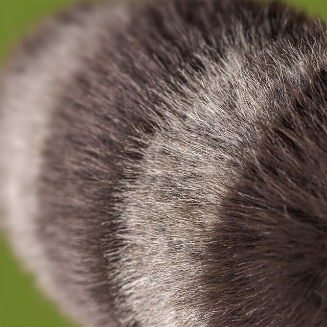 Jellycat knuffel Trixiwoo Raccoon met zachte vacht en nieuwsgierige blik, De Gele Flamingo.