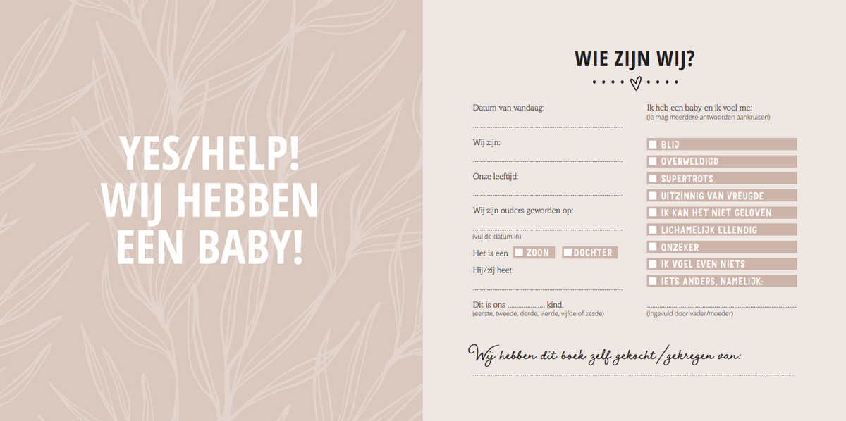 Van Baby Tot Dreumes Invulboek | Mijn Eerste Jaar