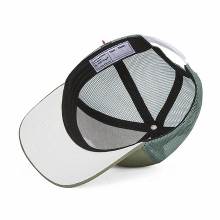 Hello Hossy Pet | Olive