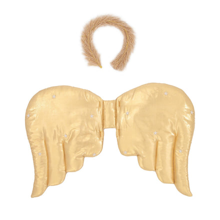 * Meri Meri Angel Wings