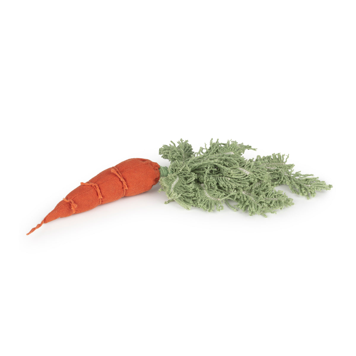 * Oli & Carol Knutselset DIY | Cathy The Carrot