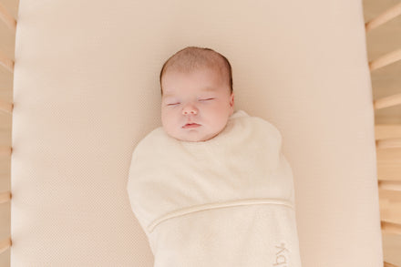 Puckababy Inbakerslaapzak The Original Piep 0/3 M - Teddy | Pure