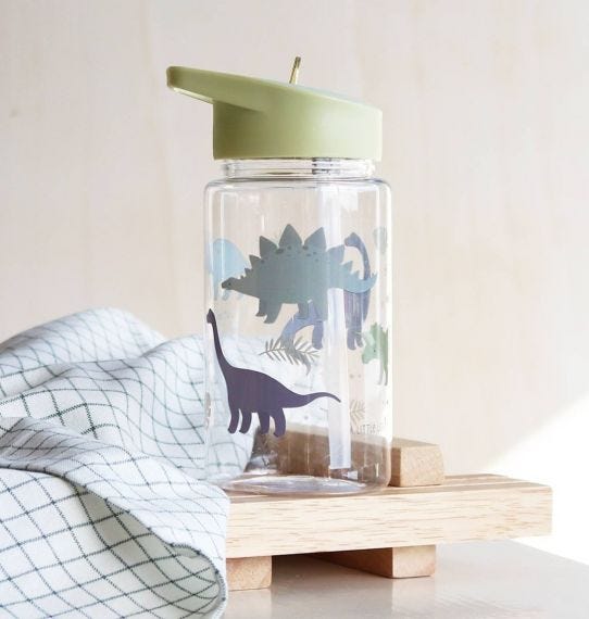 A Little Lovely Company Drinkfles met Dinosaurussen-print, vooraanzicht