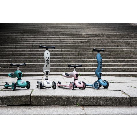 Scoot and Ride Step Highwaykick 1 - Steel